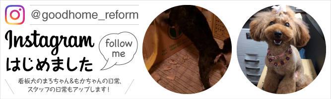 ぐっど・ほーむインスタグラムはじめました。看板犬のまろちゃん&もかちゃんの日常、スタッフの日常もアップします！
